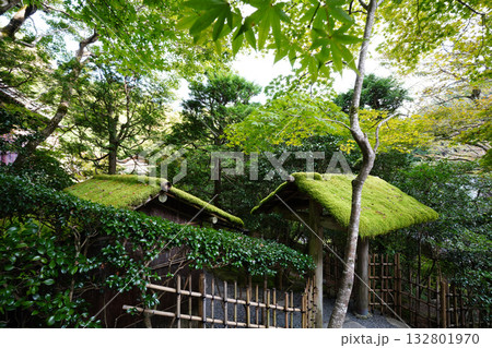 京都大原寂光院の参道の風景 京都大原寂光院の参道の風景 132801970