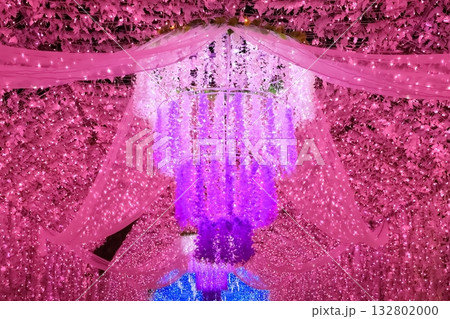 時之栖のイルミネーション 時之栖のイルミネーション 132802000