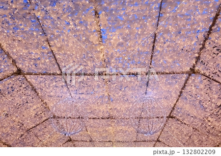 夕方の時之栖のイルミネーション 132802209