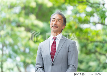 ビジネス　シニア男性　ポートレート　新緑 132802638