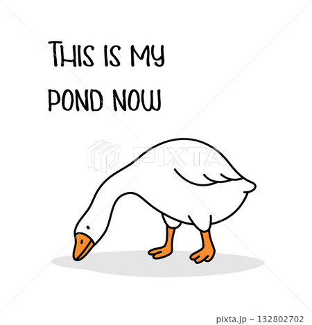 Cartoon goose with head down and text THIS IS MY POND NOW. Humorous territorial bird illustration on white background Cartoon goose with head down and text THIS IS MY POND NOW. Humorous territorial bird illustration on white background 132802702