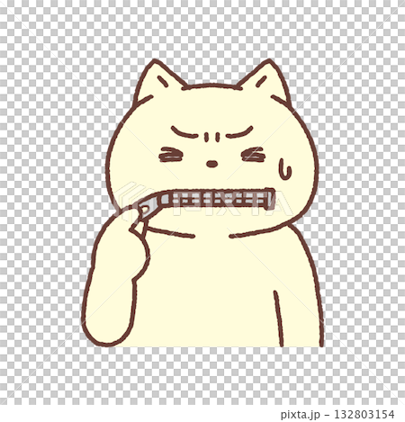 Cat with zipper in mouth - Silence Cat with zipper in mouth - Silence 132803154