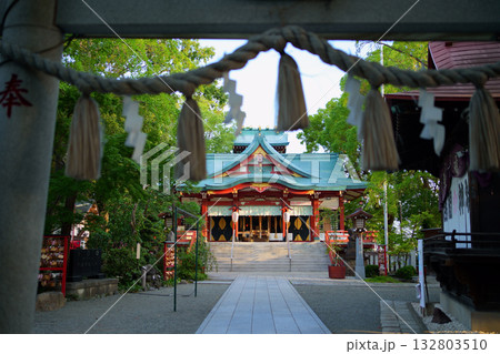 今日のはじまり - 朝の光が差し込む夏の多摩川浅間神社(東京都大田区) 今日のはじまり - 朝の光が差し込む夏の多摩川浅間神社(東京都大田区) 132803510