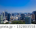 東京タワーから眺める都心部 132803558