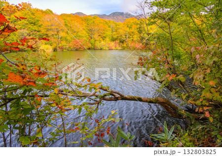 秋の鎌池【北安曇郡小谷村】 132803825