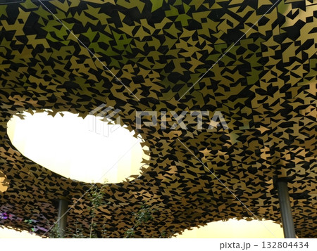 音楽の家 音楽の家 132804434