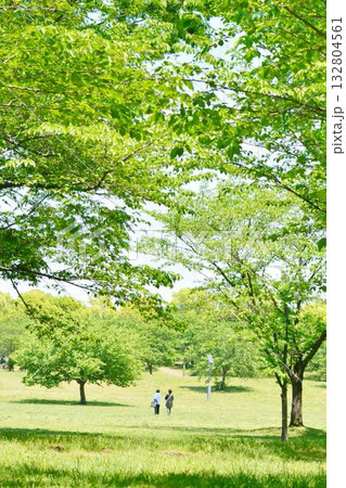 　東京都立舎人公園の新緑 132804561