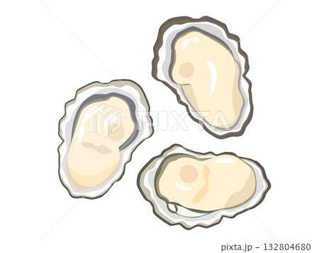 殻付きの牡蠣のイラスト 殻付きの牡蠣のイラスト 132804680