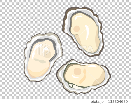 Illustration of oysters in their shells Illustration of oysters in their shells 132804680
