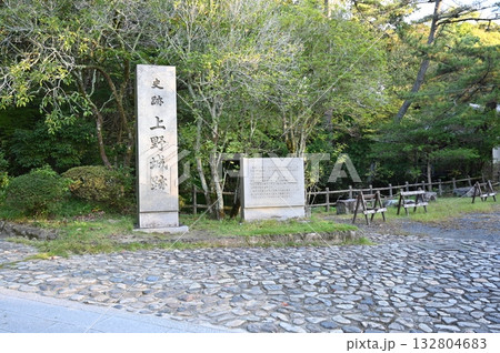 史跡上野城址の石碑　伊賀市 132804683