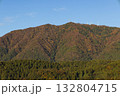 弥彦山 紅葉 青空 132804715