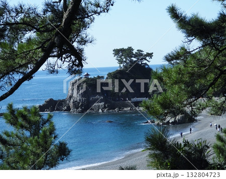 高台から俯瞰する桂浜と龍王岬 132804723