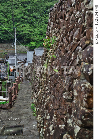 雨の石垣の里外泊 132804749