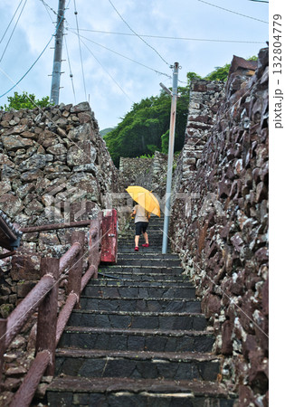 雨の石垣の里外泊 132804779