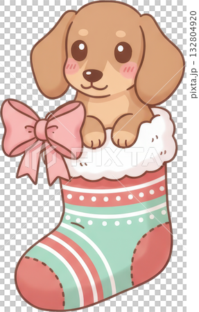 Adorable dachshund puppy peeking out of a festive Christmas ing with a pink bow Adorable dachshund puppy peeking out of a festive Christmas ing with a pink bow 132804920