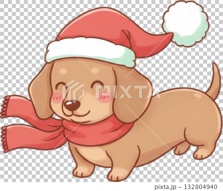 Cute Dachshund Dog Wearing Santa Hat and Scarf for Christmas 132804940