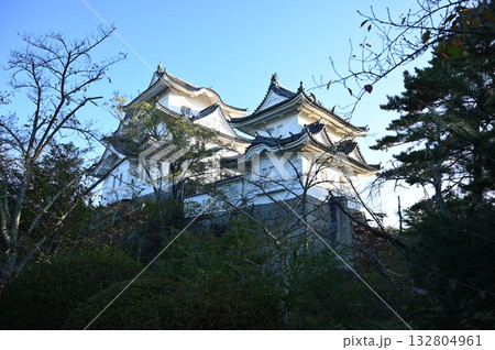 伊賀上野城　模擬大天守　伊賀市 132804961