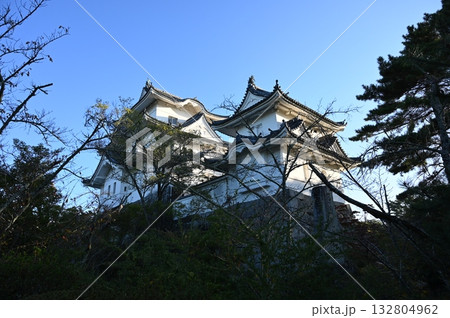 伊賀上野城　模擬大天守　伊賀市 132804962