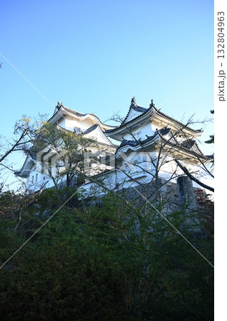 伊賀上野城　模擬大天守　伊賀市 132804963