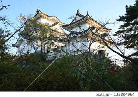 伊賀上野城　模擬大天守　伊賀市 132804964