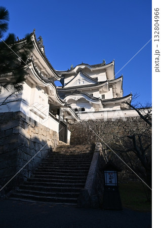 伊賀上野城 天守閣 伊賀市 伊賀上野城 天守閣 伊賀市 132804966