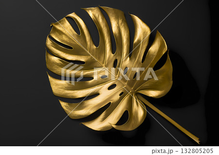 Luxurious golden monstera leaf on a black minimalist background. 132805205