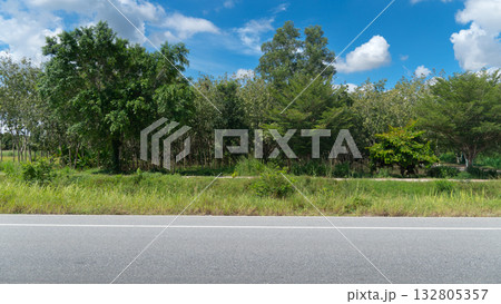 Horizontal view of asphalt road in Thailand. Smooth footpath along the green grass that divides the public road from the rural road. Tree forest under blue sky and white clouds. Horizontal view of asphalt road in Thailand. Smooth footpath along the green grass that divides the public road from the rural road. Tree forest under blue sky and white clouds. 132805357