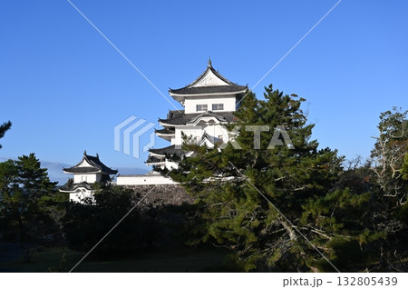 伊賀上野城 天守閣 観光 伊賀上野城 天守閣 観光 132805439