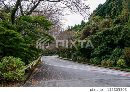 箱根の山道とシルバーのSUV 箱根の山道とシルバーのSUV 132805508
