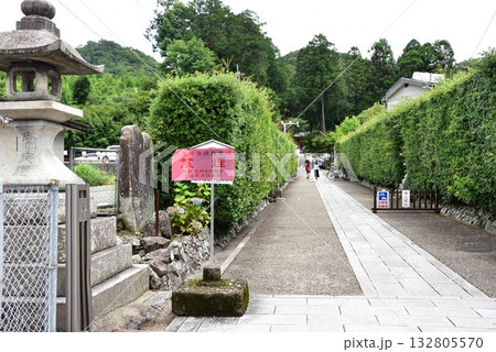 宇治市　三室戸寺の参道入口 132805570