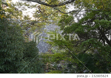 伊賀上野城　高石垣　伊賀市 132805624