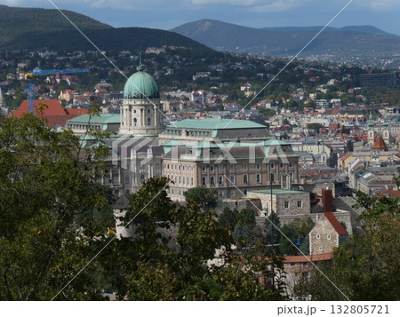 ゲッレールト山から望むドナウ川とブダペストの街並み 132805721