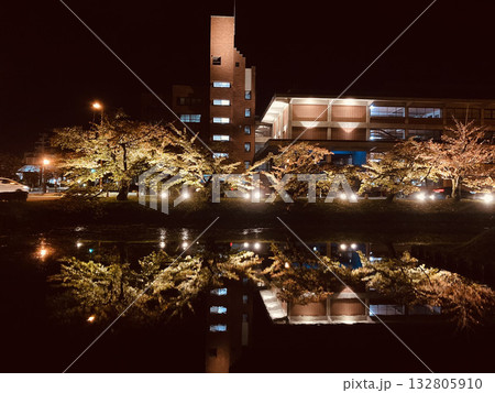 弘前公園～夜景～ 132805910