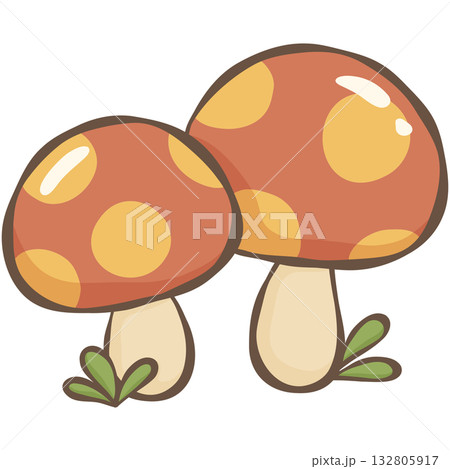 Camping Camping 132805917