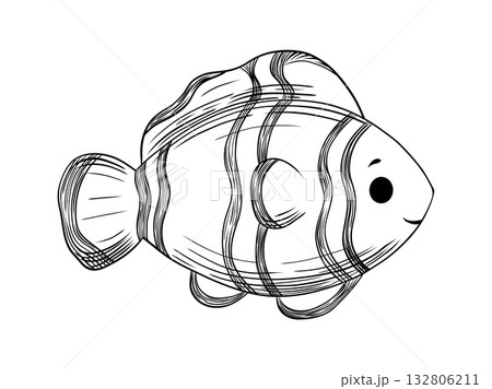 Cute Clownfish Detailed Engraving Sketch 132806211