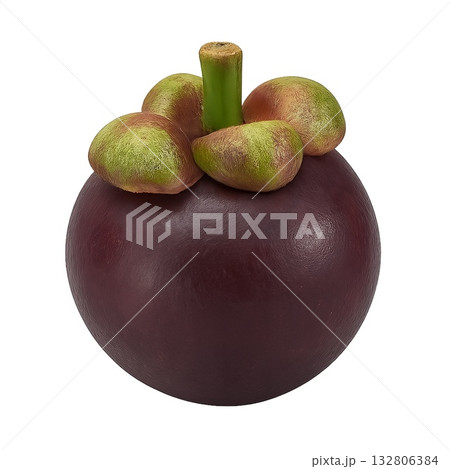 マンゴスチンのリアルタッチな背景透過された切り抜きイラスト マンゴスチンのリアルタッチな背景透過された切り抜きイラスト 132806384