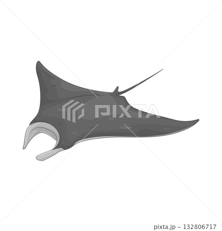 Illustration of stingray  132806717