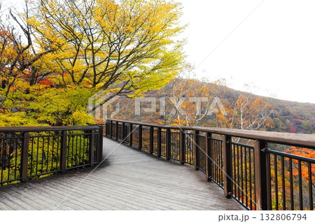 紅葉名所 那須高原 駒止の滝 観瀑台／栃木県那須町 132806794