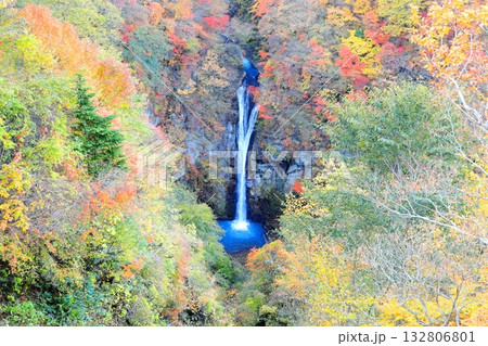 那須高原 駒止の滝/栃木県那須町 観瀑台から 那須高原 駒止の滝/栃木県那須町 観瀑台から 132806801