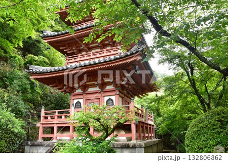 宇治市　三室戸寺三重塔と新緑 132806862