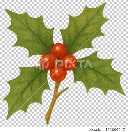 Holly Leaves Clipart Vintage Christmas Plant Retro Holiday Holly Leaves Clipart Vintage Christmas Plant Retro Holiday 132806947