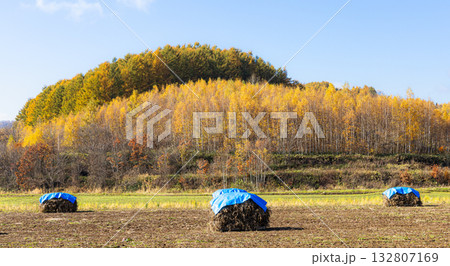 秋の爽やかな青空と伝統的なニオ積みのある風景 132807169