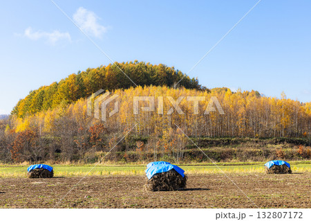 秋の爽やかな青空と伝統的なニオ積みのある風景 132807172