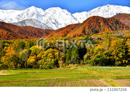 小谷村より白馬三山方面を望む(長野県小谷村)【2025.11】 132807208