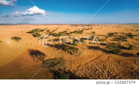 アフリカの広大な大地の空撮写真 132807374