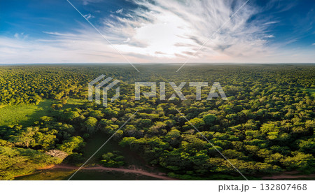 ドローンで上空から撮影した広大な森 ドローンで上空から撮影した広大な森 132807468