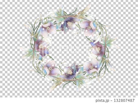 雪花蓮與聖誕玫瑰花環 雪花蓮與聖誕玫瑰花環 132807487