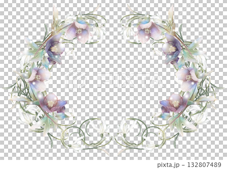 雪花蓮與聖誕玫瑰花框 3 132807489