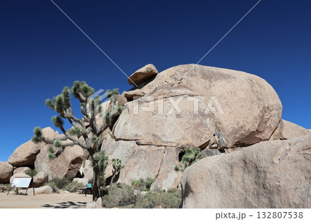 カリフォルニア州　ジョシュアツリー国立公園 132807538