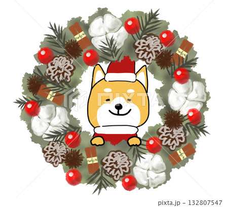 豪華なクリスマスリースと穴から覗くしばいぬサンタ 132807547